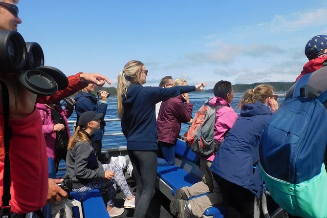 Vancouver Island Half-Day Whale Watching Tour - Telegraph Cove - Family appeal and onboard comforts