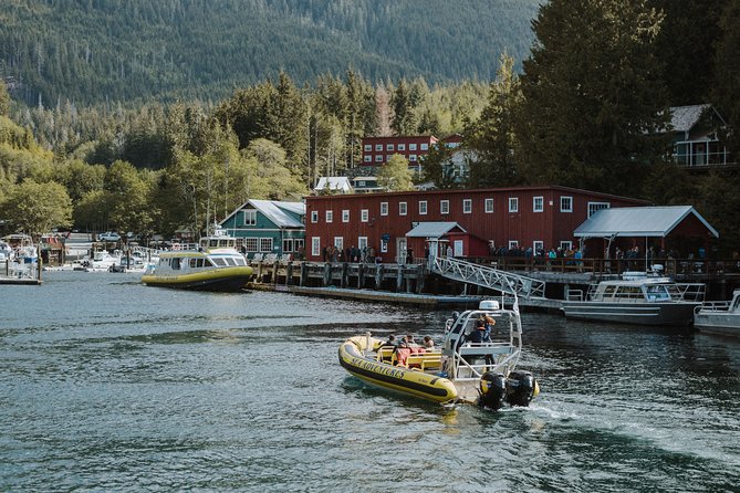 Vancouver Island Zodiac Whale Watching Adventure - Telegraph Cove - Key points before you book