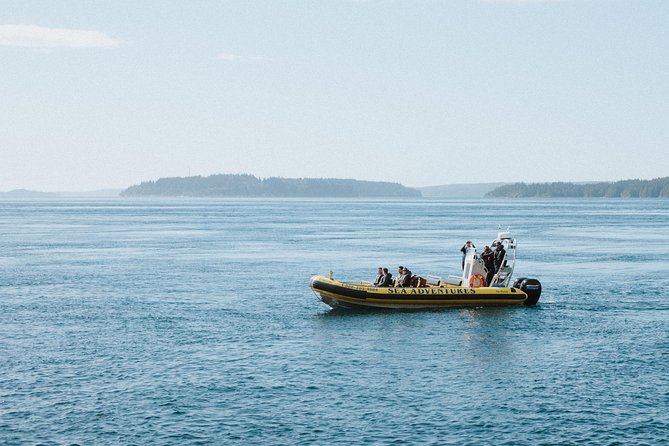 Vancouver Island Zodiac Whale Watching Adventure - Telegraph Cove - What the 12-passenger Zodiac changes