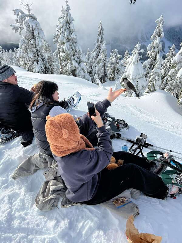 Vancouver: North Shore Mountains Snowshoeing with Transfer - Key points to know before booking