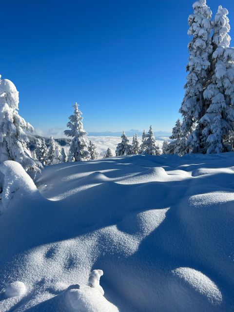 Vancouver: North Shore Mountains Snowshoeing with Transfer - Practical planning for a comfortable day