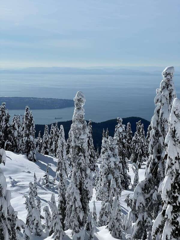 Vancouver: North Shore Mountains Snowshoeing with Transfer - Snowy forests and subalpine meadows