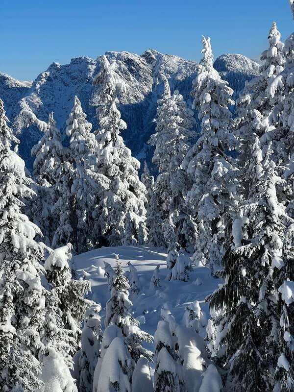 Vancouver: North Shore Mountains Snowshoeing with Transfer - How hard is the snowshoeing?