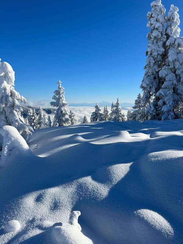 Vancouver: North Shore Mountains Snowshoeing with Transfer - The views over Vancouver