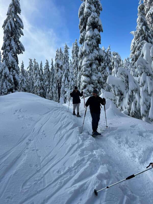 Vancouver: North Shore Mountains Snowshoeing with Transfer - Fitting snowshoes for a forest walk