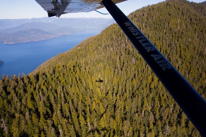 Vancouver Panorama Scenic Seaplane Tour - Stanley Park, English Bay, and the Lions Gate Bridge