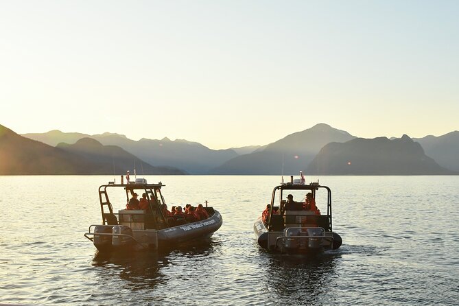 Vancouver's Intimate West Coast Whale Watching Experience - The small boat makes a real difference