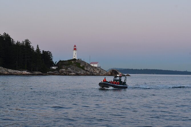 Vancouver's Intimate West Coast Whale Watching Experience - Orcas, humpbacks, and the luck factor