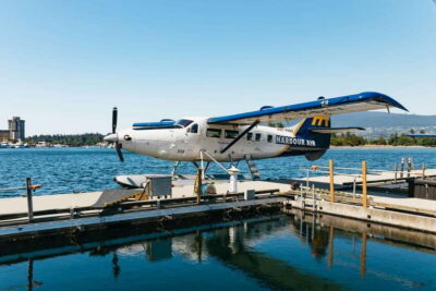 Scenic Panorama Seaplane Tour & Suspension Bridge