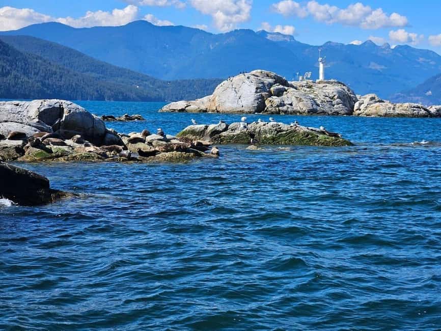 Vancouver: Snorkel, Kayak, and Seal Adventure Boat Tour - From Horseshoe Bay to Howe Sound