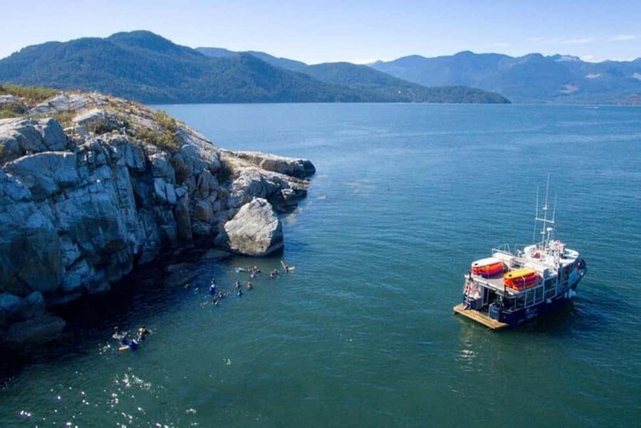 Vancouver: Snorkel, Kayak, and Seal Adventure Boat Tour - The ride back, with soup and mountain views