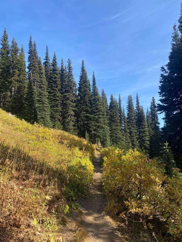 Vancouver/Squamish: Garibaldi Park Panorama Ridge Hike - Starting at Rubble Creek with a manageable climb