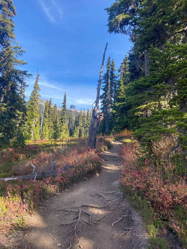 Vancouver/Squamish: Garibaldi Park Panorama Ridge Hike - Bridges, streams, and the changing trail