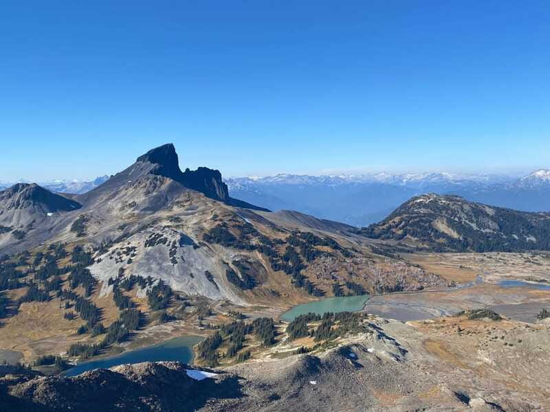 Vancouver/Squamish: Garibaldi Park Panorama Ridge Hike - Wildlife watching, including the possibility of a bear