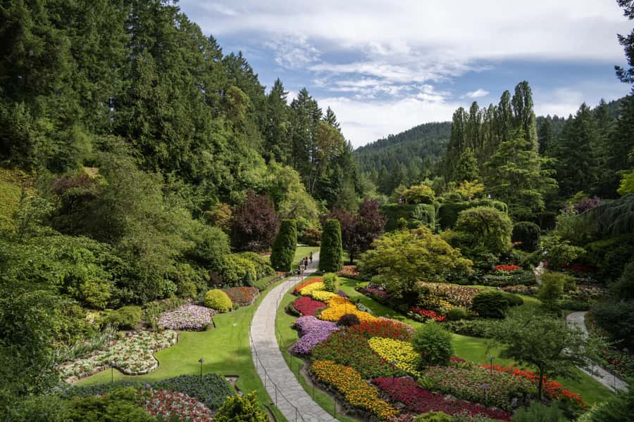 Vancouver to Victoria Seaplane Day Trip + Butchart Gardens - Flying back to Vancouver at 6:00 pm