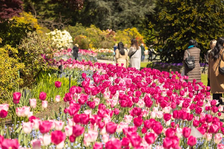 Vancouver to Victoria Seaplane Day Trip + Butchart Gardens - Who will get the most from this day trip