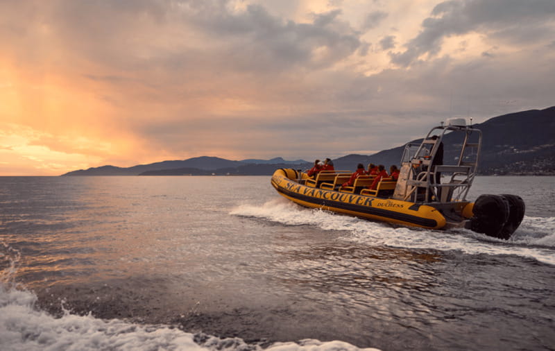 Vancouver: Waterfront Sightseeing Tour - City and Harbour - Wildlife: a welcome bonus, not a promise