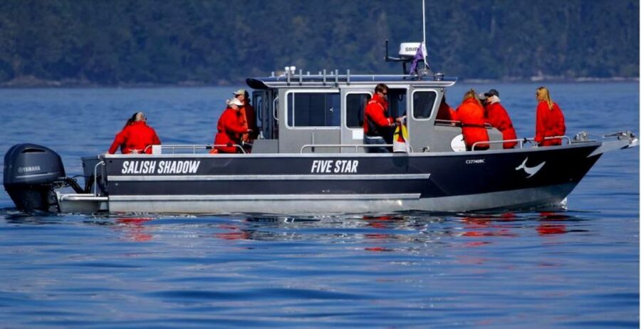 Victoria, BC: 3-Hour Ultimate Whale & Marine Wildlife Tour - Should You Book It?