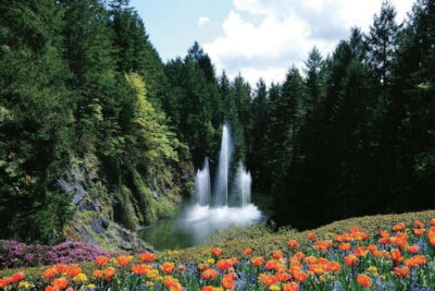 City Highlights and Butchart Gardens Tour