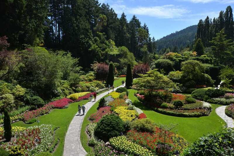 Victoria: City Highlights and Butchart Gardens Tour - Comfort, group feel, and service