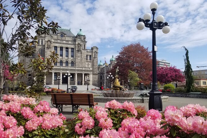 Victoria City Highlights Pedal or E-Bike Tour - Hoods & Legends - Fernwood brings a local neighborhood into view