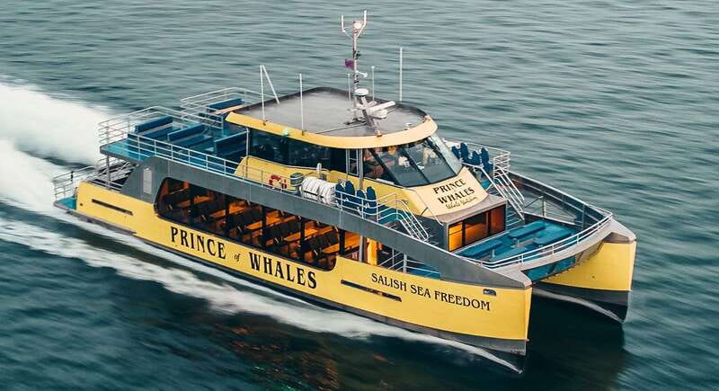 Victoria: Covered Whale Watching Adventure with Free Photos - When to book and who should go