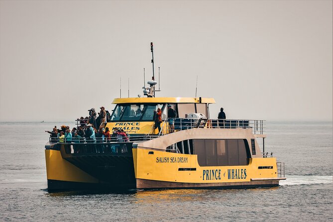 Victoria Half-Day Whale Watching Adventure with Free Photos - Staying warm and comfortable