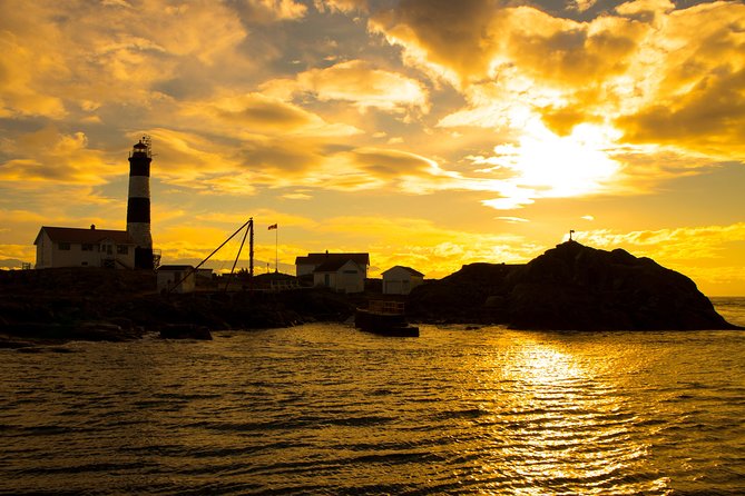 Victoria Sunset Whale-Watching Cruise - Sunset over the Salish Sea and Victoria Harbour