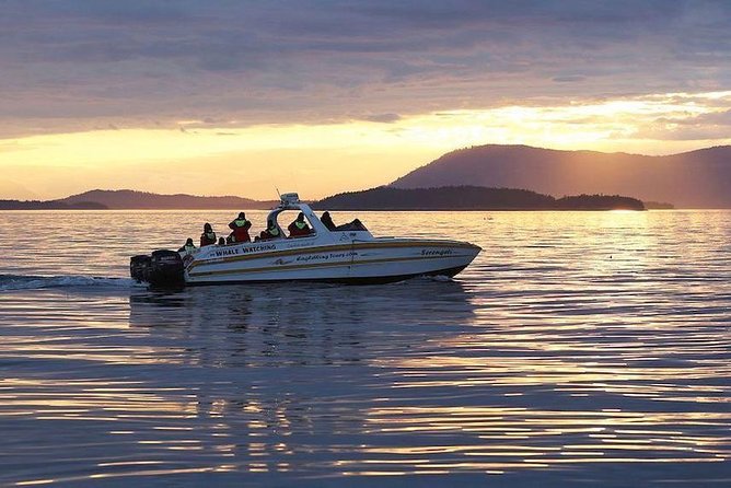 Victoria Sunset Whale-Watching Cruise - What to wear and what comes aboard
