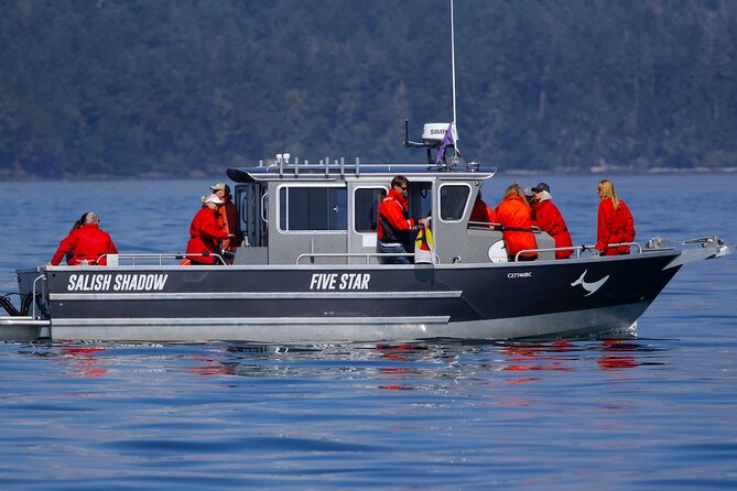 Victoria Ultimate Marine Whale & Wildlife Tour - Orcas, humpbacks, and the honest odds