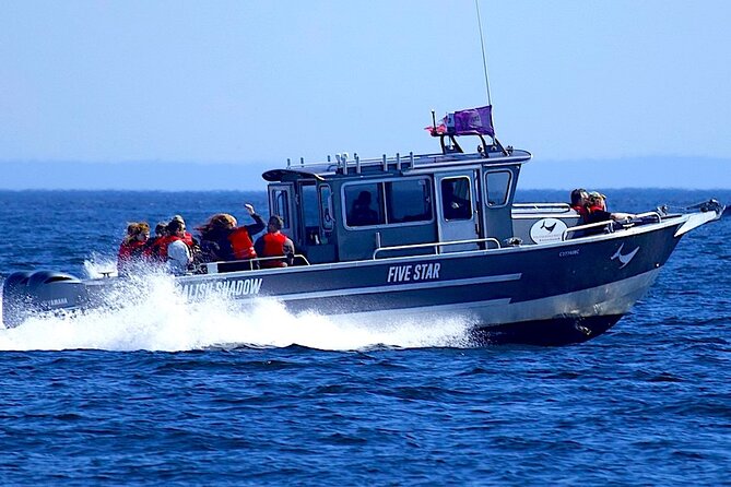 Victoria Ultimate Marine Whale & Wildlife Tour - Check-in at Humboldt Street, then out onto the Salish Sea