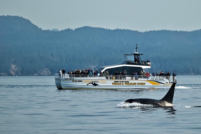 Victoria Whale and Wildlife Cruise - Leaving Dallas Road for the Salish Sea