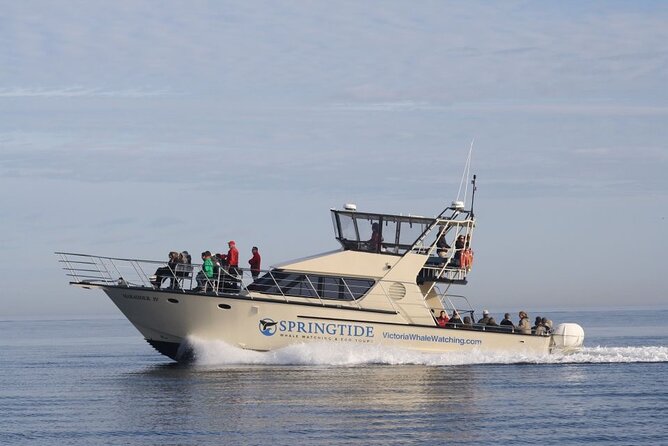 Victoria Whale Watch Tour - Setting out from Victoria’s Inner Harbour
