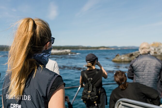 Victoria Whale Watch Tour - Who should book this Victoria whale watch?