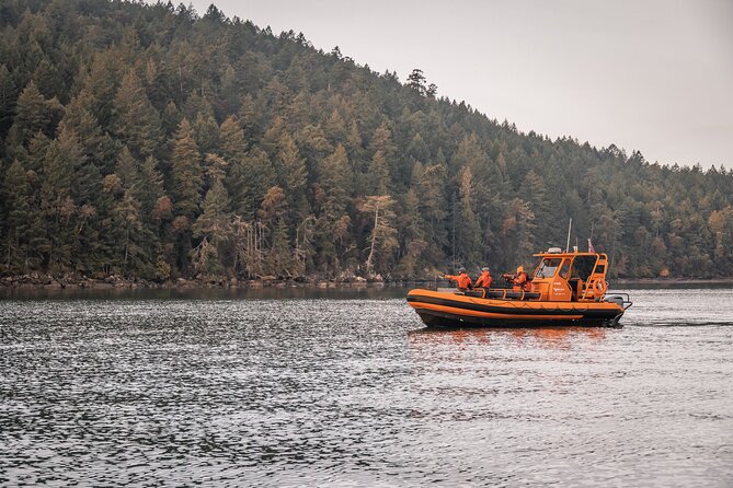 Whale Watching Nanaimo Open Boat Tour - Key points to know before you book