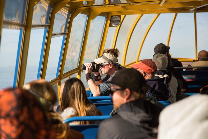 Whale-Watching Tour from Vancouver - What the price of $157.09 buys you
