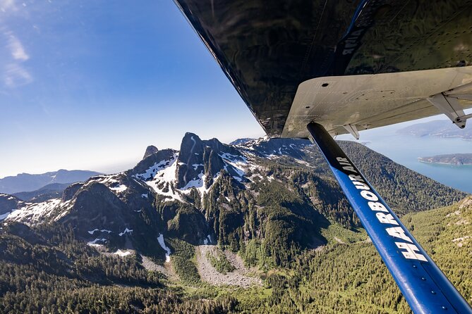 Whistler Glacier Spectacular: Scenic Seaplane Sightseeing Tour - What the Pilot Adds to the Flight