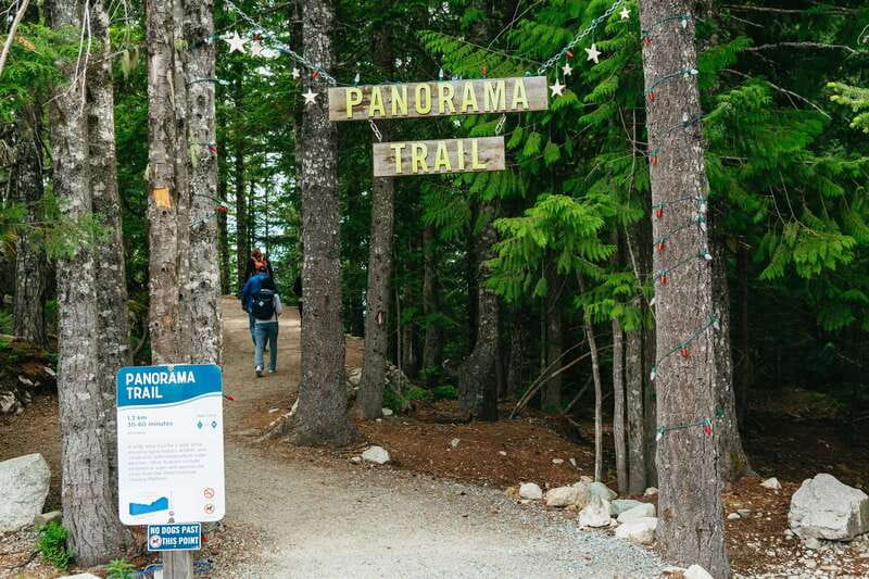 Whistler, Sea to Sky Gondola, and Shannon Falls Day Trip - Who should book this day trip?
