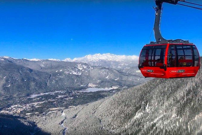 Whistler Sightseeing Tour from Vancouver: See Horseshoe Bay and Shannon Falls - Shannon Falls Provincial Park in 30 minutes