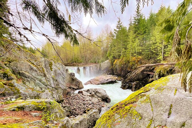 Whistler Train Wreck, Suspension Bridge & Hidden Waterfall Adventure - Following the forest trail for about an hour