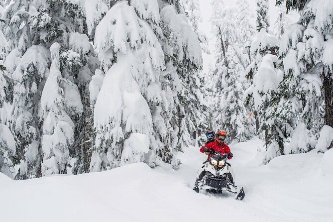 Whistler Wilderness Run Snowmobile Tour - The guides make a real difference