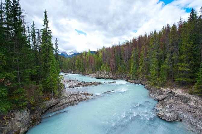 Whitewater Rafting Adventure | Kicking Horse River - Key details before you book