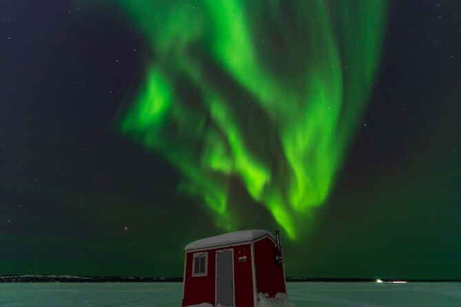 Yellowknife Winter 5 Days 4 Nights: Aurora and Day Activities - Day four: dog sledding and a final weather backup
