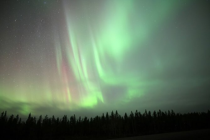 Yellowknife Winter 5 Days 4 Nights: Aurora and Day Activities - Winter clothing, transfers, and the small details that matter