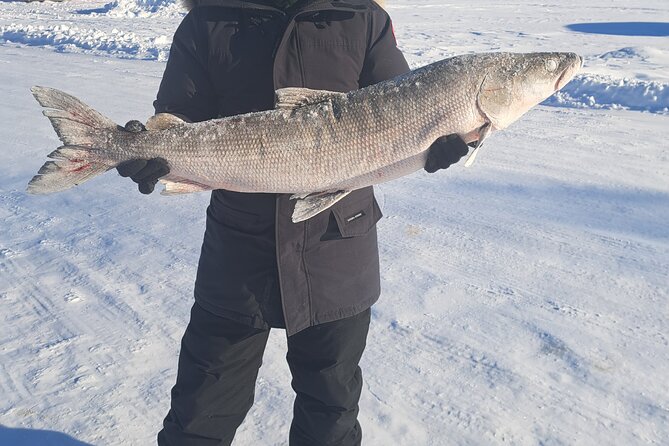 Yellowknife Winter 5 Days 4 Nights: Aurora and Day Activities - Who should book this Yellowknife package?