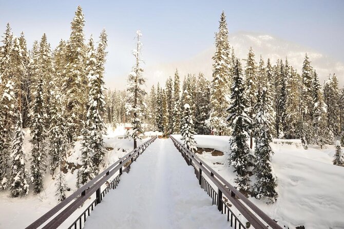 Yoho National Park Self-Guided Driving Audio Tour - Key points to know before you go