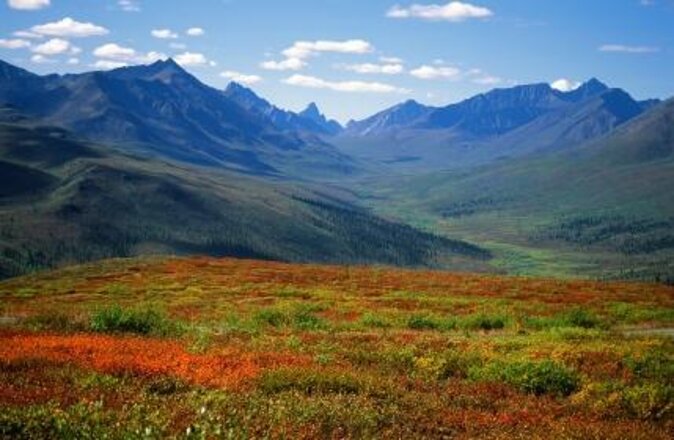 Yukon Aurora Viewing Package | 4 days - Day 1 begins with an airport pickup and a late night