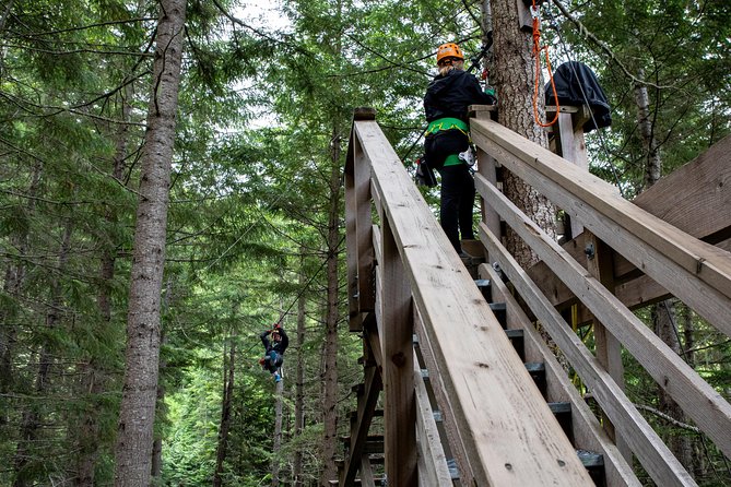 Zipline Adventure in Whistler - What the views are like in different seasons