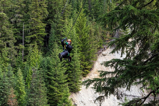 Zipline Adventure in Whistler - How much time and money the tour is worth